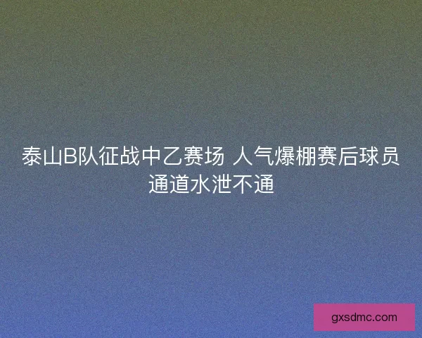 泰山B队征战中乙赛场 人气爆棚赛后球员通道水泄不通