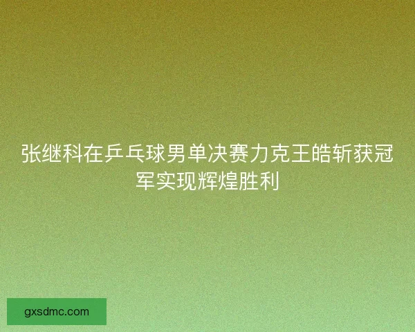 张继科在乒乓球男单决赛力克王皓斩获冠军实现辉煌胜利