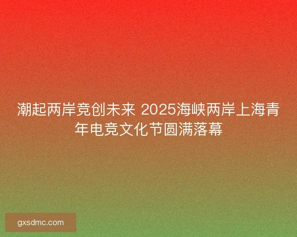 潮起两岸竞创未来 2025海峡两岸上海青年电竞文化节圆满落幕