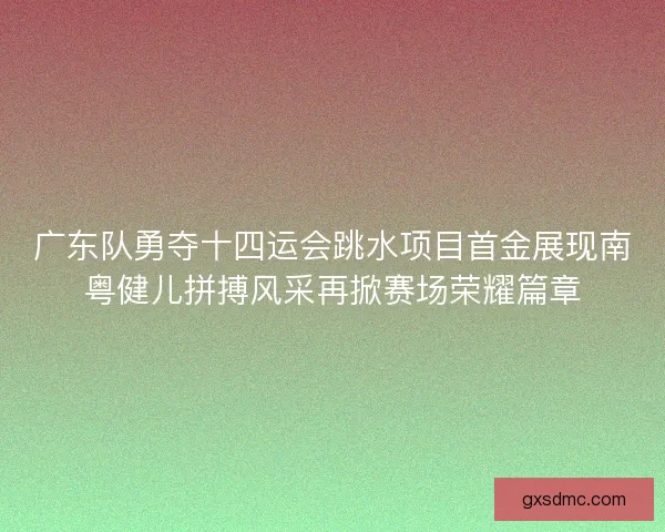 广东队勇夺十四运会跳水项目首金展现南粤健儿拼搏风采再掀赛场荣耀篇章